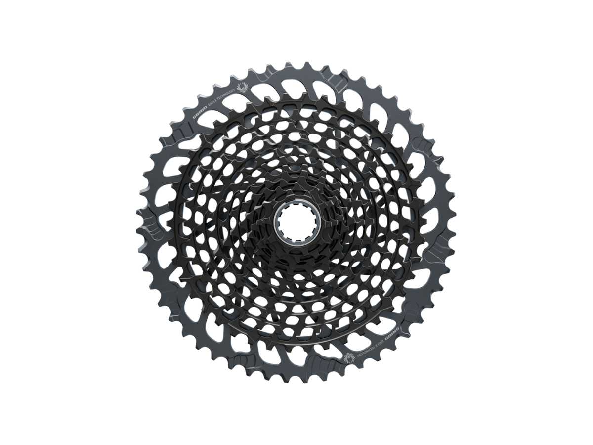 SRM CASSETTE XG-1295 EAGLE 12V 10-50 BLACK A3