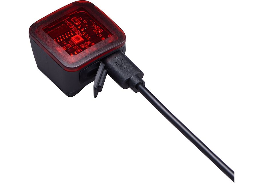 Flashback Taillight