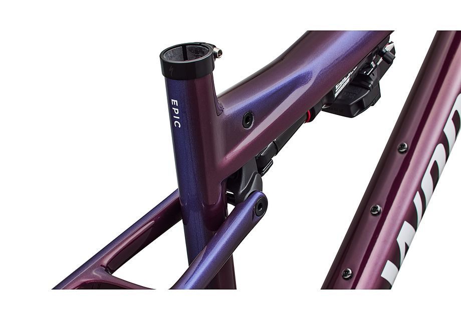 Conjunto de cuadro S-Works Epic 9