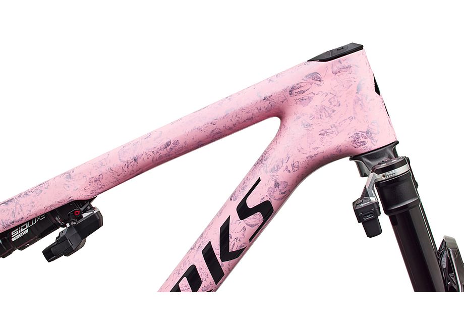 Conjunto de cuadro S-Works Epic 9