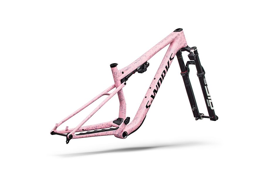 Conjunto de cuadro S-Works Epic 9