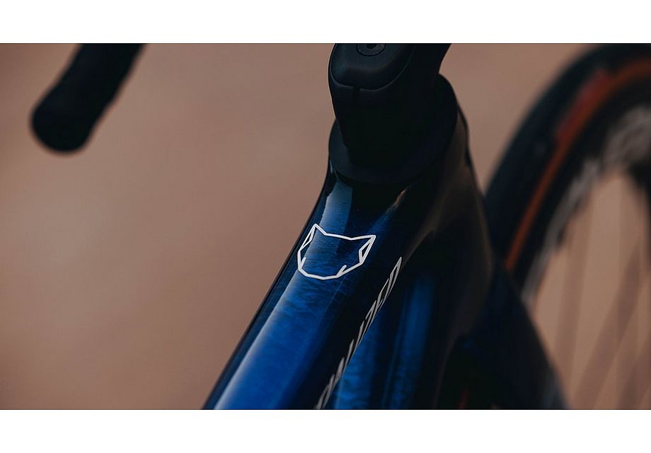 S-Works Tarmac SL8: cuadro Soudal Quick-Step
