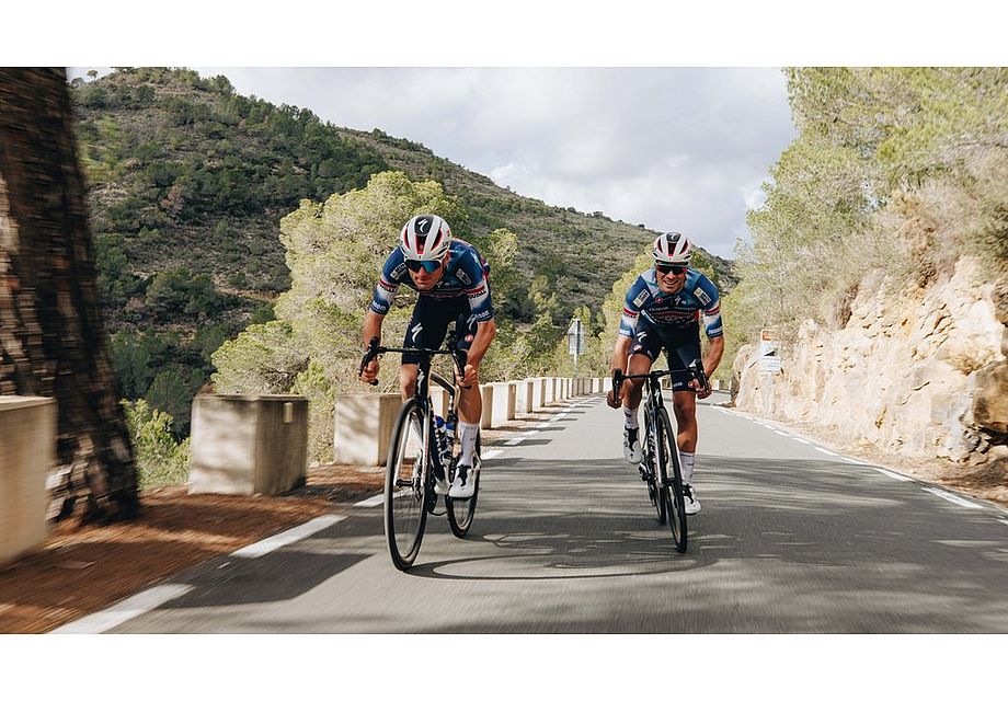 S-Works Tarmac SL8: cuadro Soudal Quick-Step
