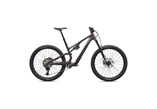 Stumpjumper 15 EVO Expert Di2