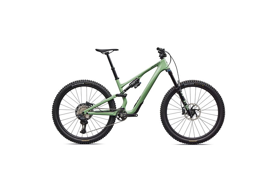 Stumpjumper 15 EVO Expert Di2