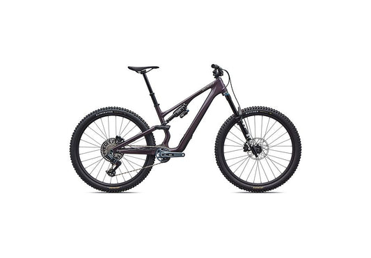 Stumpjumper 15 EVO Expert