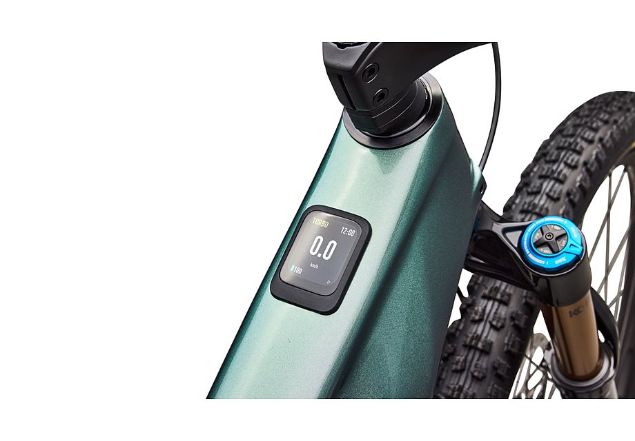 S-Works Turbo Levo R