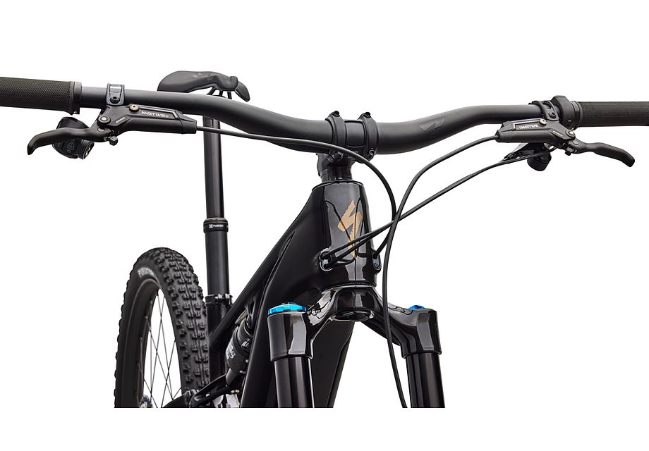 Turbo Levo R Expert